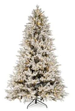 Best Bizzotto ALBER BERKSHIRE INN H210-4943R 1900L