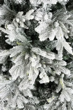 Online Bizzotto ALBER BERKSHIRE INN H180-3386R 1300L