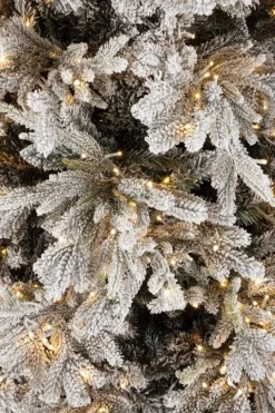 Online Bizzotto ALBER BERKSHIRE INN H180-3386R 1300L