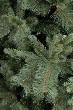 New Bizzotto ALBERO HUBBARD H210-2359RAMI