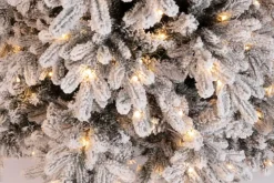 Hot Bizzotto ALBERO MASSIVE INNEVATO H240-3973R 600L