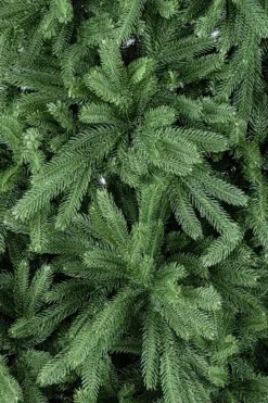 Bizzotto ALBERO TIROLO H210-950RAMI