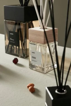 Best Bizzotto DIFFUSORE FRAGRANZA THE' BIANCO E ORCHIDEA 500ML