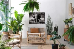 Online Bizzotto DIVANO IN FIBRE NATURALI CON CUSCINI - TARIFA