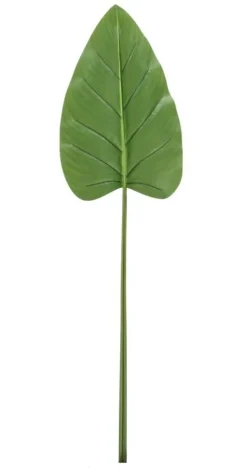 New Bizzotto FOGLIA CALLA TOMMY VERDE H115CM