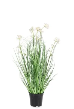 Bizzotto PIANTA ALLIUM C-VASO H60