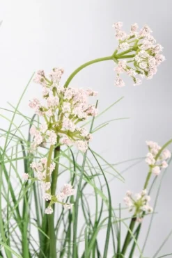 Bizzotto PIANTA ALLIUM C-VASO H60