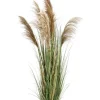 Best Bizzotto PIANTA AUSTORDERIA PAMPAS C-VASO H170