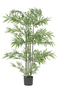 Online Bizzotto PIANTA BAMBOO C-VASO H150