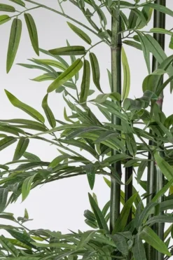 Clearance Bizzotto PIANTA BAMBOO C-VASO H190