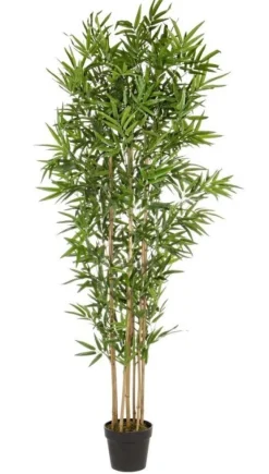 Sale Bizzotto PIANTA BAMBOO C-VASO H185CM