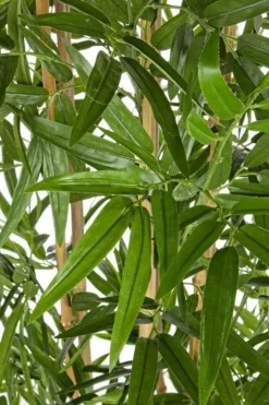 Sale Bizzotto PIANTA BAMBOO C-VASO H185CM