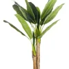 Bizzotto PIANTA BANANO C-VASO 14FOGLIE H135