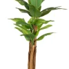 Discount Bizzotto PIANTA BANANO C-VASO 22FOGLIE H240