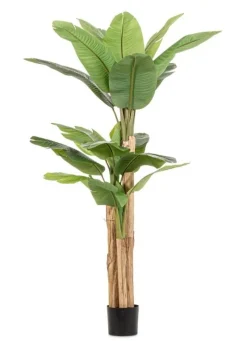 New Bizzotto PIANTA BANANO C-VASO 20FOGLIE H200