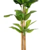 Clearance Bizzotto PIANTA BANANO C-VASO 24FOGLIE H280