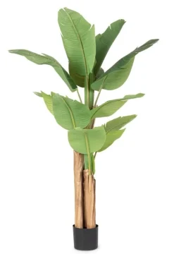 Clearance Bizzotto PIANTA BANANO C-VASO 13FOGLIE H150