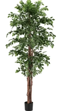 Bizzotto PIANTA BANYAN C-VASO 2480FOGLIE H210