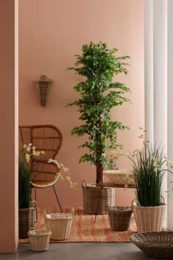 Bizzotto PIANTA BANYAN C-VASO 2480FOGLIE H210