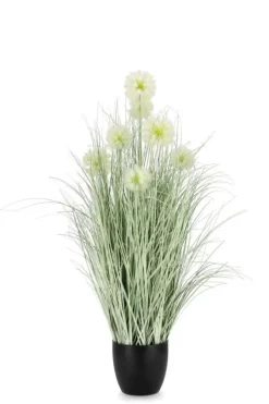 Bizzotto PIANTA CEBOLLA BIANCO C-VASO X7F H105