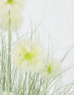 Bizzotto PIANTA CEBOLLA BIANCO C-VASO X7F H105