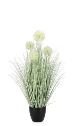 Outlet Bizzotto PIANTA CEBOLLA BIANCO C-VASO X4F H75