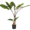 New Bizzotto PIANTA DIEFFENBACHIA C-V 10FOGLIE H134