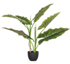 Clearance Bizzotto PIANTA DIEFFENBACHIA C-VASO 7FOGLIE H78