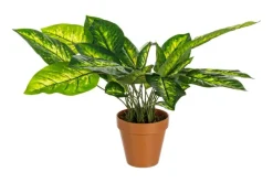 Outlet Bizzotto PIANTA DIEFFENBACHIA C-VASO 30FOGLIE H45