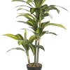 Clearance Bizzotto PIANTA DRACANEA C-VASO 43FOGLIE H88CM