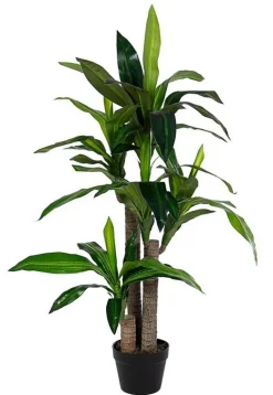 Clearance Bizzotto PIANTA DRACANEA C-VASO 65FOGLIE H110