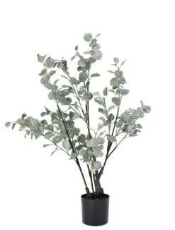 Sale Bizzotto PIANTA EUCALIPTO C-VASO H82