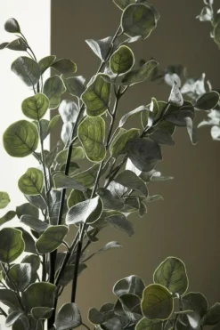 Sale Bizzotto PIANTA EUCALIPTO C-VASO H82