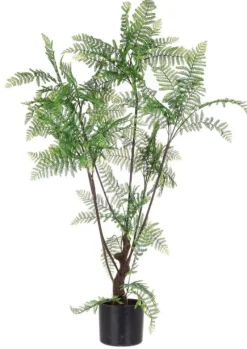 Sale Bizzotto PIANTA FELCE C-VASO 75FOGLIE H108