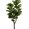 Bizzotto PIANTA FICUS LYRATA C-VASO 60FOGLIE H180