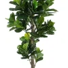 Online Bizzotto PIANTA FICUS LYRATA C-VASO 153FOGL H190
