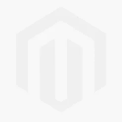 Sale Bizzotto PIANTA FICUS VARIEGATO C-VASO X760F H120