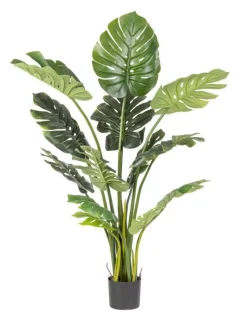 New Bizzotto PIANTA FILODENDRO C-VASO 13FOGLIE H150