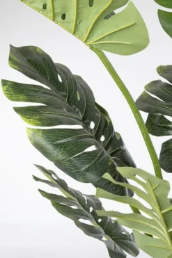 New Bizzotto PIANTA FILODENDRO C-VASO 13FOGLIE H150