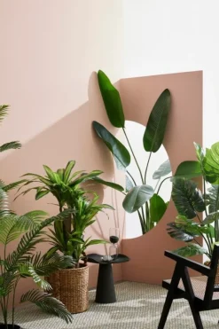 Online Bizzotto PIANTA FILODENDRO C-VASO 23FOGLIE H120CM