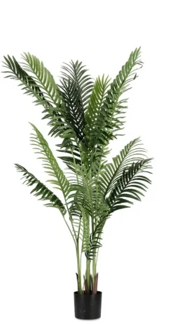 Clearance Bizzotto PIANTA KENZIA C-VASO 17FOGLIE H160