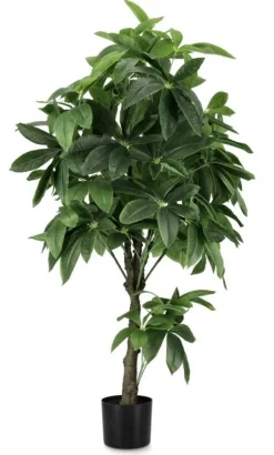 Sale Bizzotto PIANTA PACHIRA AQUATICA C-VASO 360F H160