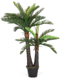 Hot Bizzotto PIANTA PALMA C-VASO 36FOGLIE 2TR H150