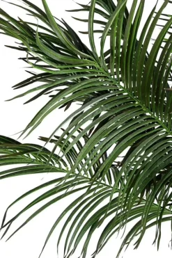 New Bizzotto PIANTA PALMA C-VASO 18FOGLIE H210