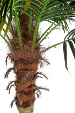 New Bizzotto PIANTA PALMA C-VASO 18FOGLIE H210