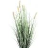 Bizzotto PIANTA PENNISETUM C-VASO H61