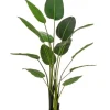 Clearance Bizzotto PIANTA STRELITZIA C-VASO 13FOGLIE H185