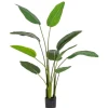 Discount Bizzotto PIANTA STRELITZIA C-VASO 10FOGLIE H150