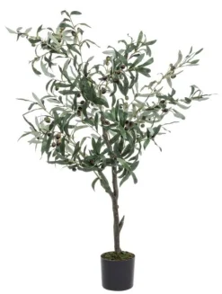New Bizzotto PIANTA ULIVO C-VASO 492FOGLIE H120