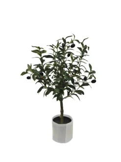 Outlet Bizzotto PIANTA ULIVO C-VASO H65